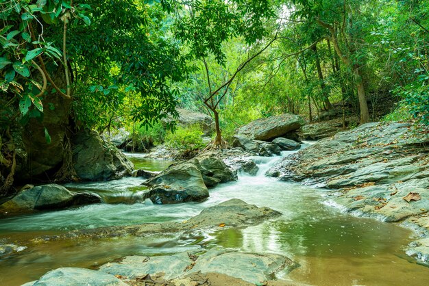 Hermosa cascada de Mae Sa en Chiang Mai, Tailandia