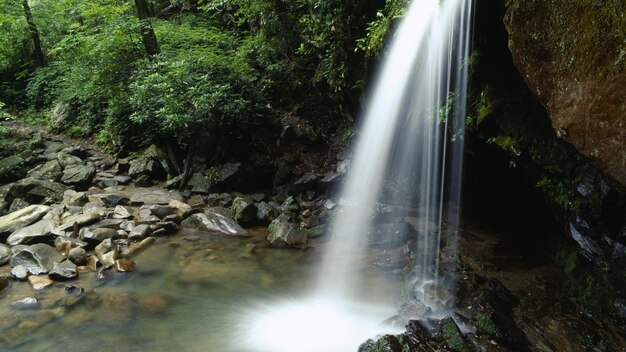 Una hermosa cascada natural