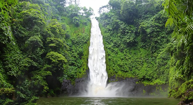 Una hermosa cascada que cae en un río en América Latina en alta resolución y nitidez