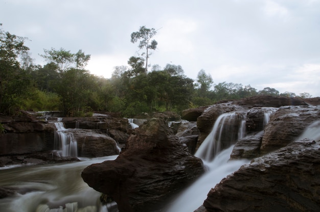 Hermosa cascada que fluye en el bosque.