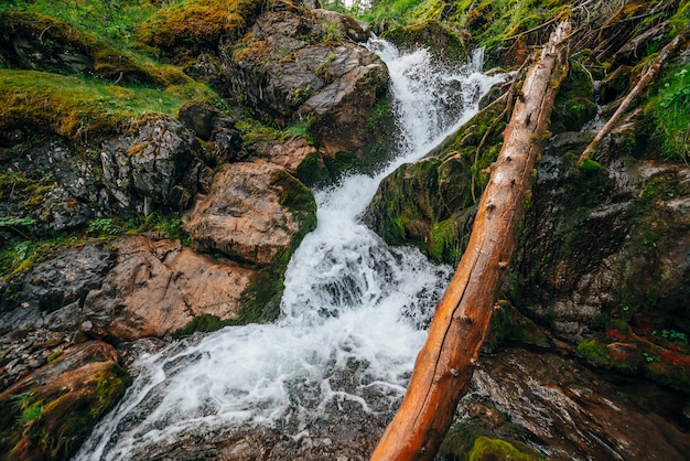 Hermosa cascada entre rica vegetación