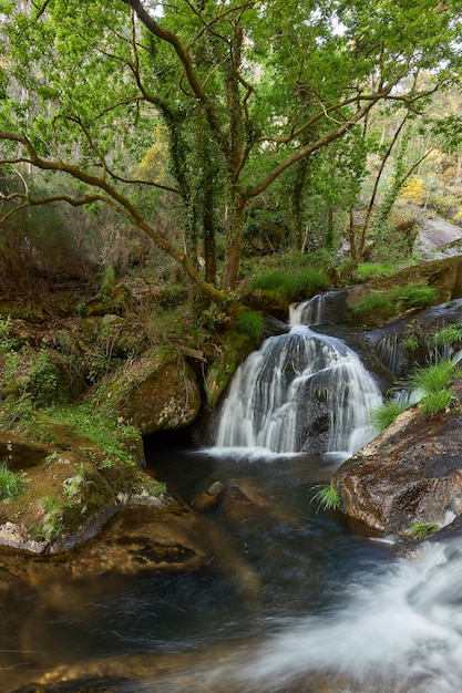 Hermosa cascada en el río del mismo nombre (rio da Patela) en la comunidad de Galicia, España.