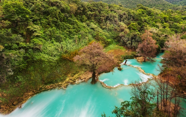 Hermosa cascada en la selva, México