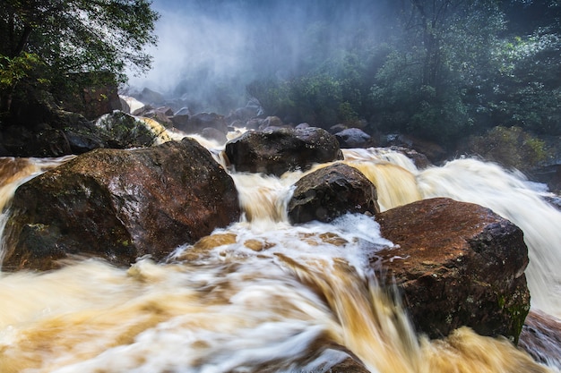 Hermosa cascada en la selva en ThaiLand.