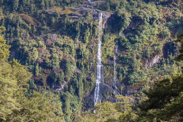 Hermosa cascada en la selva verde, Nueva Zelanda