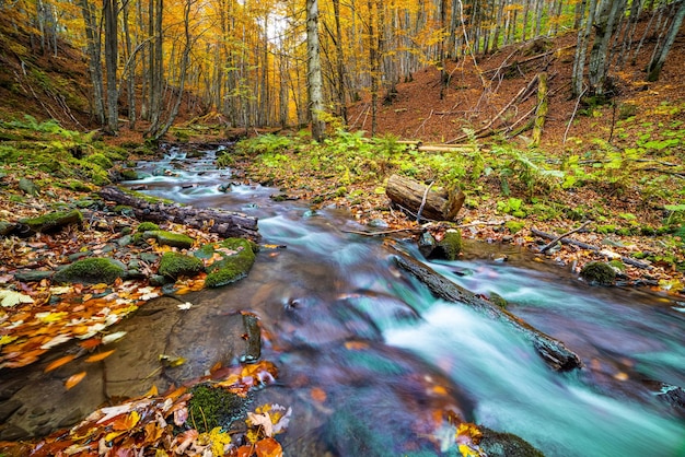 Hermosa cascada Shipot en el bosque otoñal de las montañas de los Cárpatos