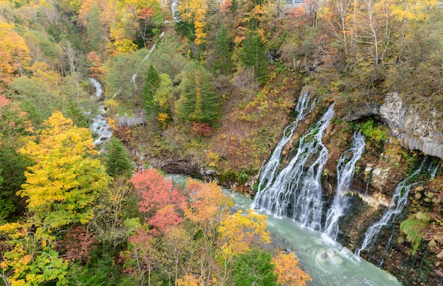 Hermosa cascada Shirahige y colorido árbol en otoño