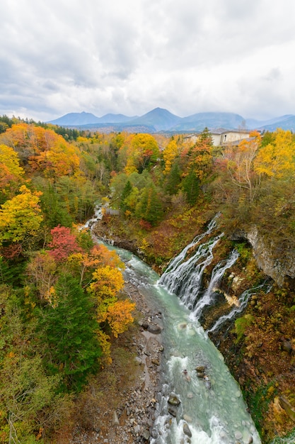 Hermosa cascada de Shirahige en otoño