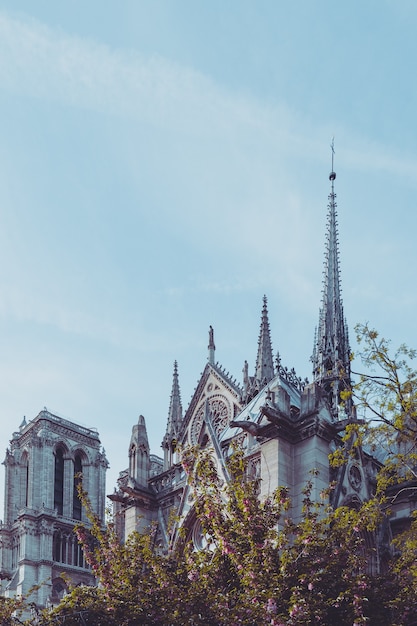 Hermosa catedral de Notre Dame en París