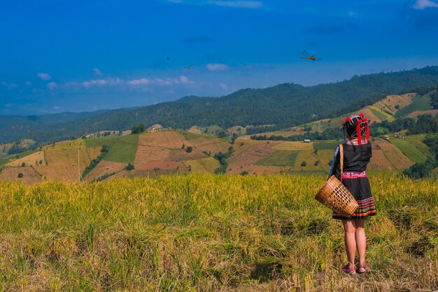 Hermosa chica campesina con paja en campos de arroz en el norte de Tailandia