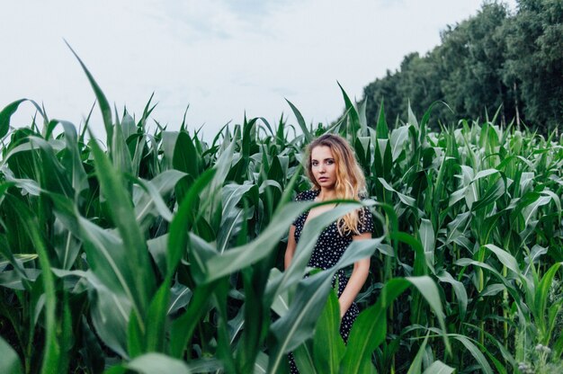 Hermosa chica se encuentra en el campo de maíz joven. Agricultura.