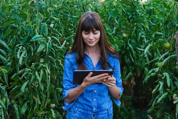 Hermosa chica granjera comprueba la calidad del tomate en invernadero y escribe las lecturas al