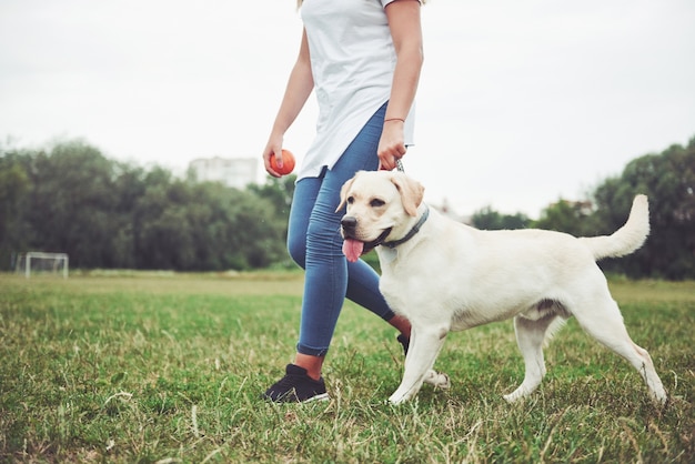 hermosa chica con un hermoso perro en un parque sobre la hierba verde.