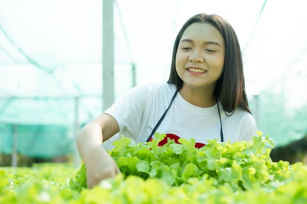 Hermosa chica joven que trabaja en el sistema hidropónico vegetales orgánicos pequeña granja de lechuga.