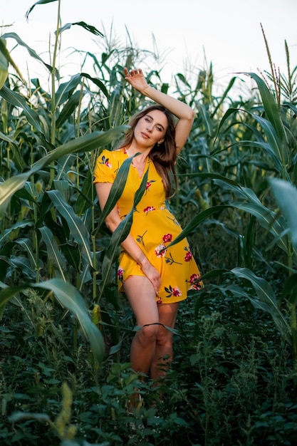 Una hermosa chica modelo en vestido amarillo camina y posando en la espesura de un campo de maíz