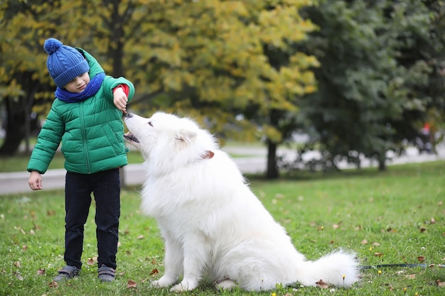 Hermosa chica en un paseo con un hermoso perro