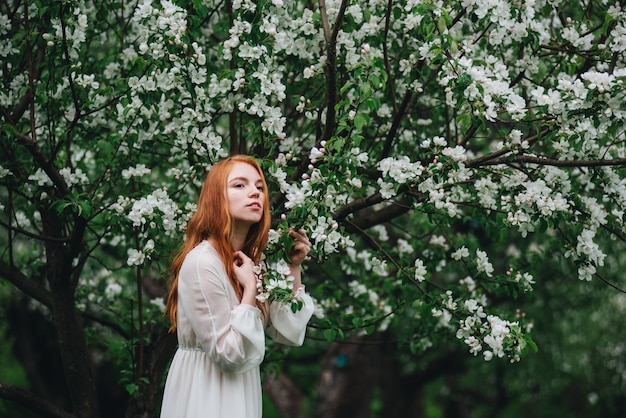 Hermosa chica pelirroja con un vestido blanco entre florecientes manzanos en el jardín.