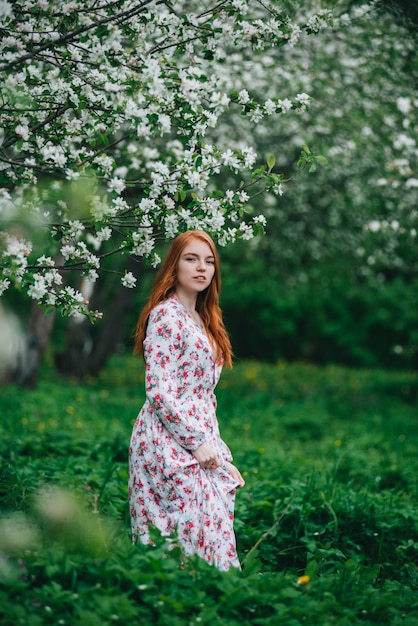 Hermosa chica pelirroja con un vestido blanco entre florecientes manzanos en el jardín