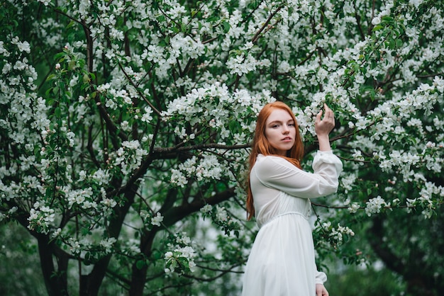 Hermosa chica pelirroja con un vestido blanco entre florecientes manzanos en el jardín