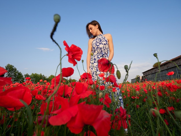 Hermosa chica posando en el campo de amapolas en un día soleado