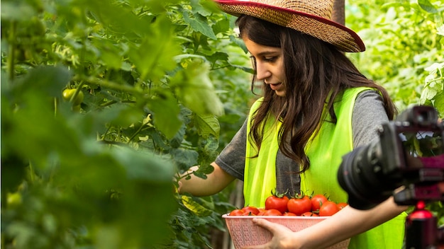 Hermosa chica recogiendo tomate en el invernadero y joven tomando fotos