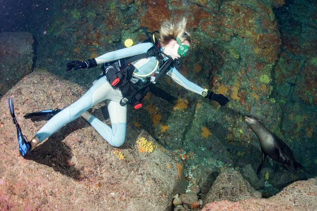 Hermosa chica rubia jugando con leones marinos