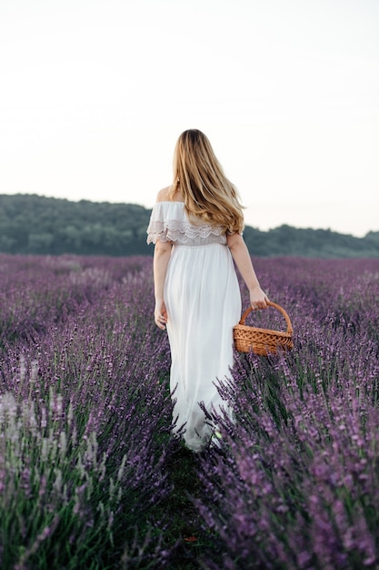 Hermosa chica con un vestido blanco y con una canasta camina sobre un campo de lavanda