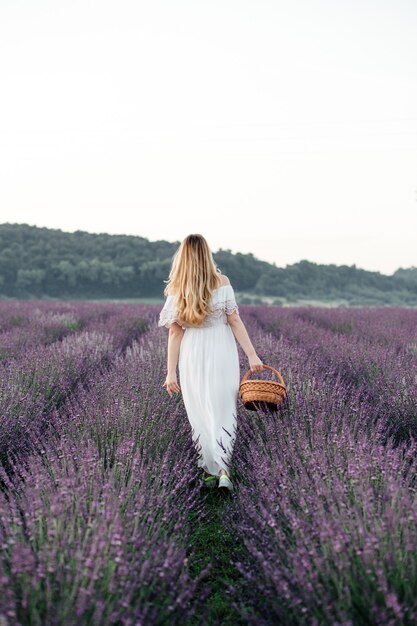 Hermosa chica con un vestido blanco y con una canasta camina sobre un campo de lavanda