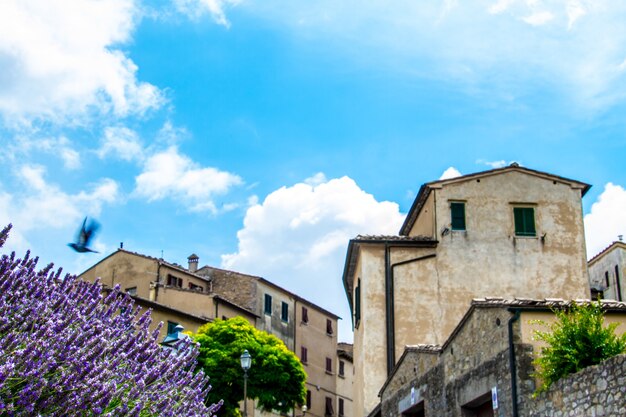 Hermosa ciudad italiana, Roma enamorada