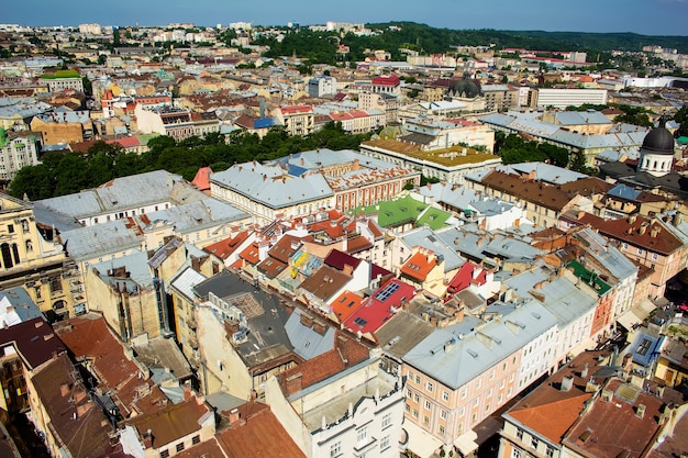 Hermosa ciudad de Lviv en un día soleado