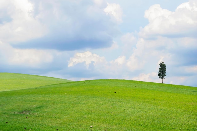 Hermosa colina verde del campo del prado con las nubes blancas y el cielo azul y el árbol