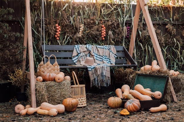 Hermosa composición de calabazas y verduras y flores de otoño en el patio del pueblo