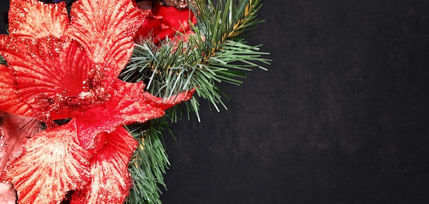 Hermosa composición decorativa de Navidad y Feliz Año Nuevo de Red Poinsettia - flores claras y ramas de pino sobre un fondo de hormigón oscuro. Gran fondo de celebración brillante