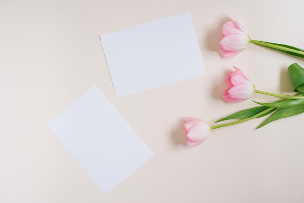 Hermosa composición de flores de primavera marco en blanco para el texto tulipanes rosados flores en beige