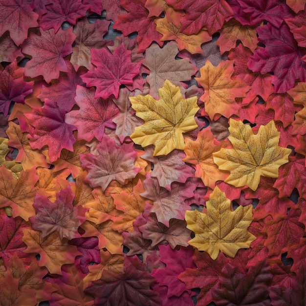 Hermosa composición de hojas de arce otoñal densamente dispersas