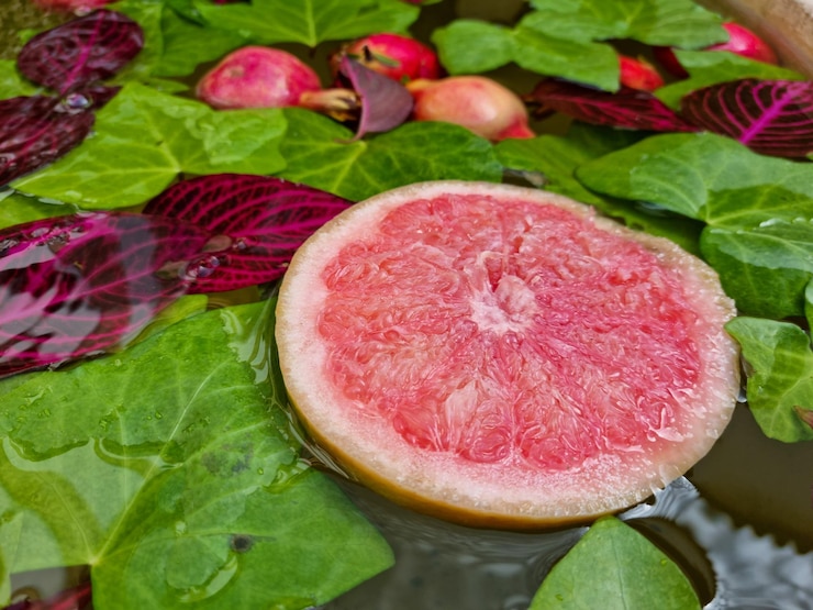 Foto hermosa composición ornamental de hojas verdes y pomelo