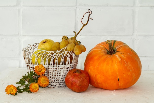 Hermosa composición de otoño con una calabaza sobre fondo blanco.