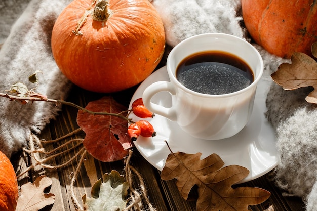 Hermosa composición de otoño con hojas de otoño de café y calabazas sobre un fondo de árbol rústico