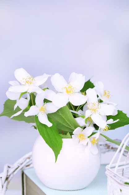 Hermosa composición primaveral con flores de jazmín