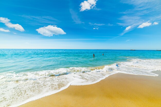 Hermosa costa en Laguna Beach