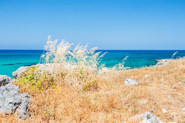 Hermosa costa del mar con pastos silvestres. Isla de Creta, Grecia. Enfoque selectivo