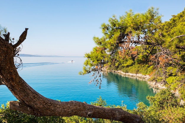 Hermosa costa del mar en Turquía