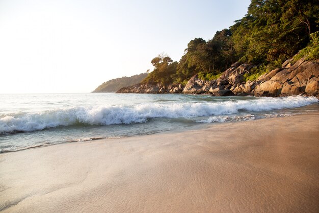 hermosa costa del océano tropical