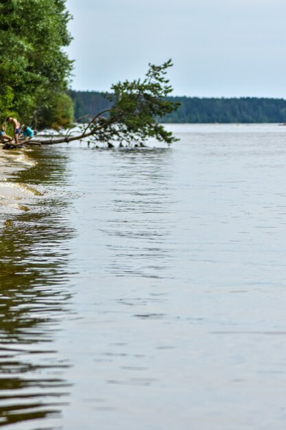 La hermosa costa del río Volga