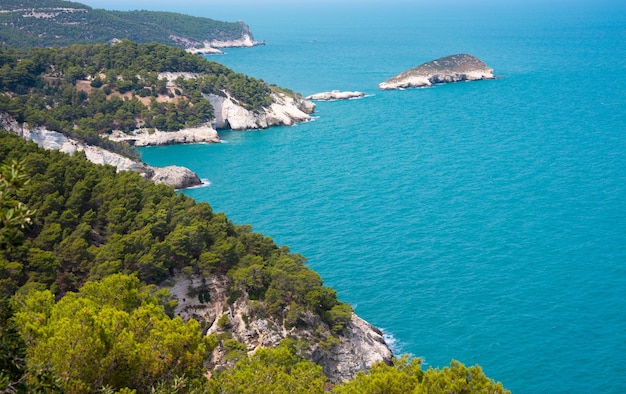 Hermosa costa rocosa en Italia con agua clara