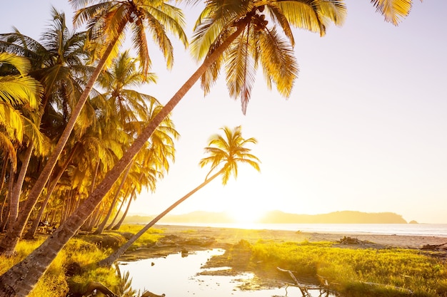 Hermosa costa tropical del Océano Pacífico en Costa Rica