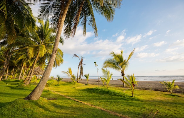 Hermosa costa tropical del Océano Pacífico en Costa Rica