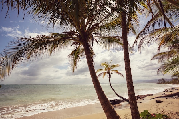 Hermosa costa tropical del Océano Pacífico en Costa Rica