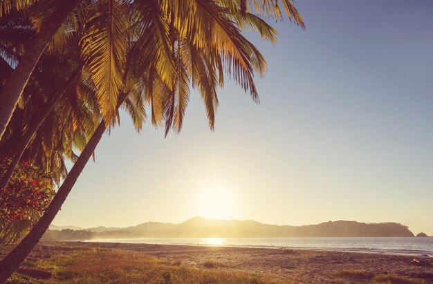 Hermosa costa tropical del Océano Pacífico en Costa Rica