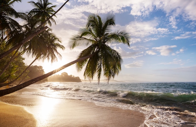 Hermosa costa tropical del Océano Pacífico en Costa Rica